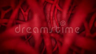 红色血管的人体心脏血管系统。 心<strong>跳动</strong>画。 医学概念。 静脉和动脉。 循环系统。 脉搏